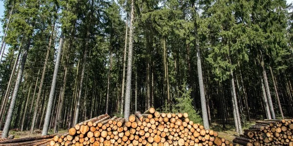 Foresters Investment Management Company